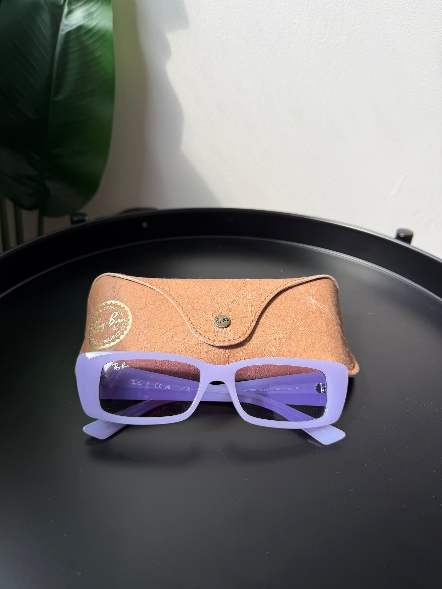 Ray-Ban Teru Bio-Based Sunglasses – Lilac/Violet | New | Originally $160